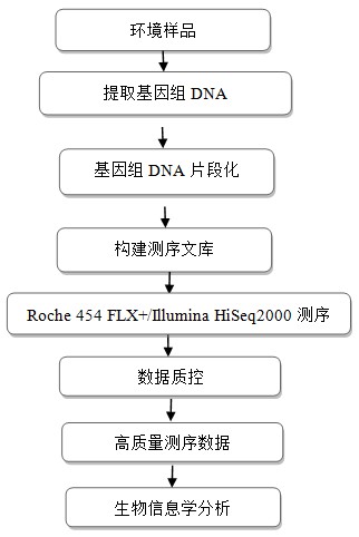 it技術_順豐科技有限公司it支持_it技術支持