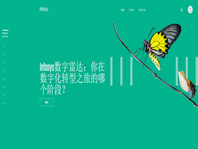 印孚瑟斯技術有限公司